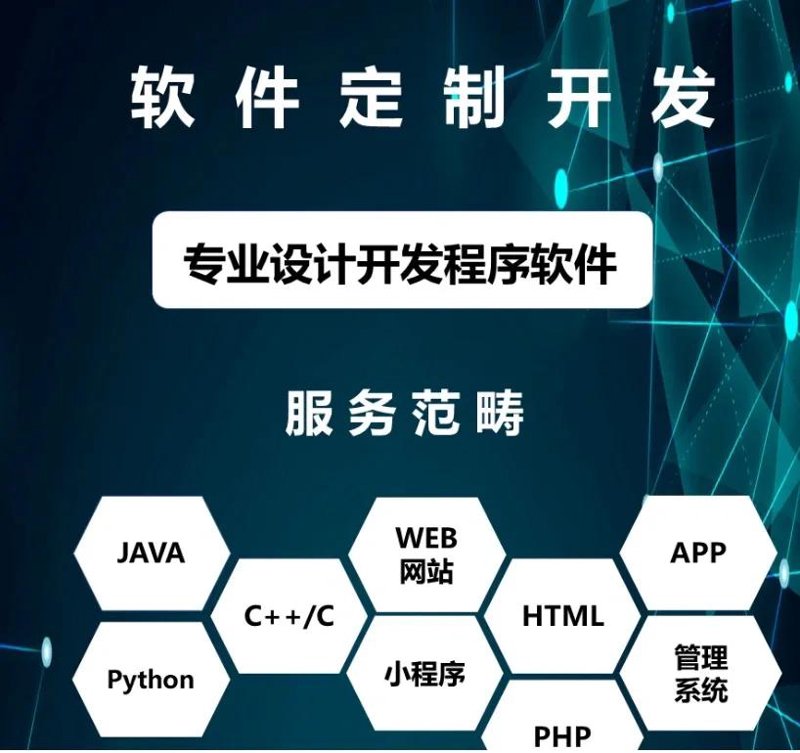 软件定制开发：构筑企业数字化未来的关键力量